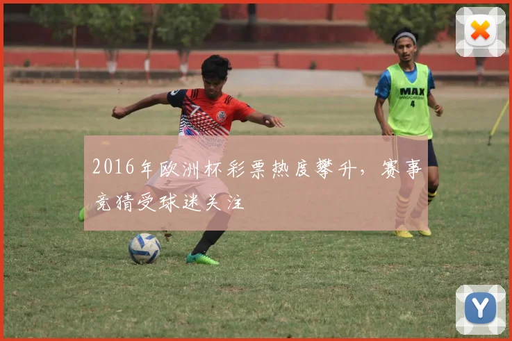 2016年欧洲杯彩票热度攀升,赛事竞猜受球迷关注