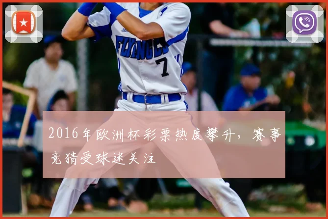 2016年欧洲杯彩票热度攀升,赛事竞猜受球迷关注